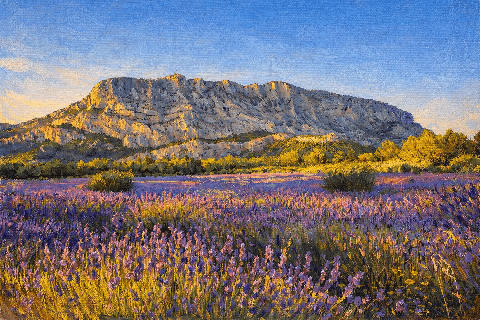 Sainte-Victoire et champs de lavande, Aix-en-Provence
